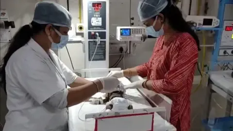 Infant Interred Living in the Country Fights for Her Life
